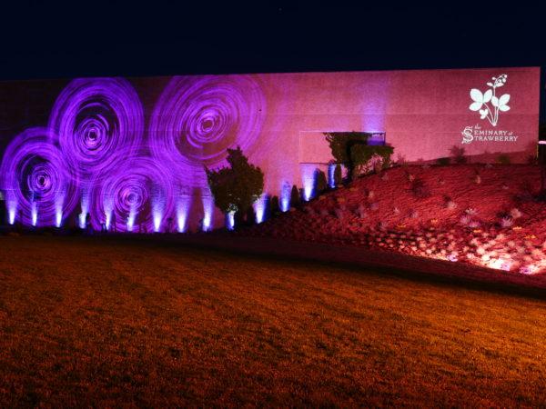 Outdoor venue lighting with purple pattern wall lights 