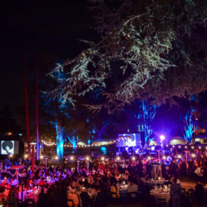 Outdoor tree up lighting and string lighting for dining event